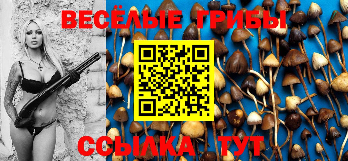 Псилоцибиновые грибы Magic Shrooms Соликамск