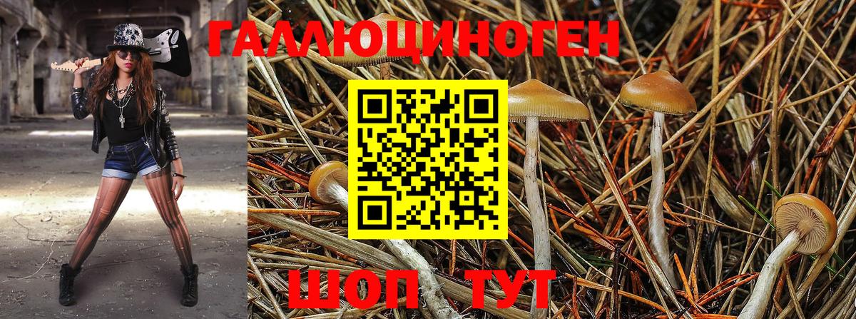 Соликамск  Псилоцибиновые грибы GOLDEN TEACHER  наркошоп  Вход с VPN 